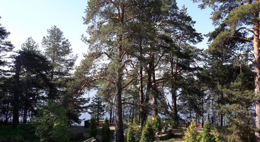 Фото Гостиницы Тирс Отель Плешково 34