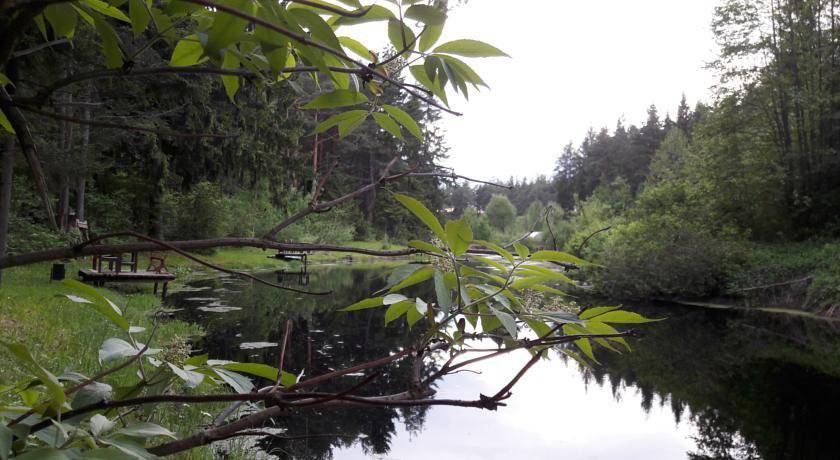 Фото Гостиницы Тирс Отель Плешково 42