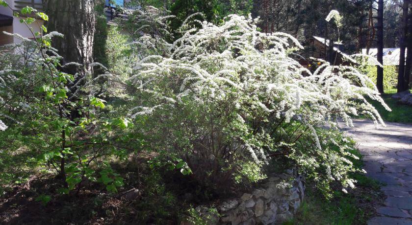 Фото Гостиницы Тирс Отель Плешково 37