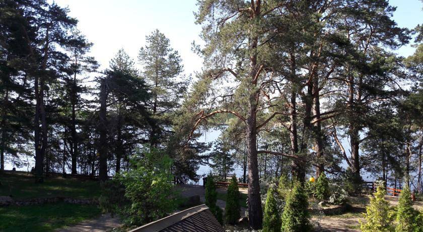 Фото Гостиницы Тирс Отель Плешково 30